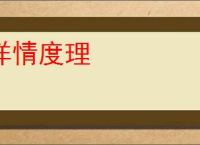 详情度理