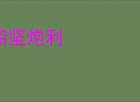 船坚炮利