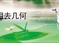 相去几何
