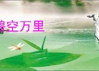 碧空万里