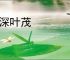 根深叶茂