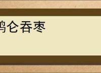 鹘仑吞枣