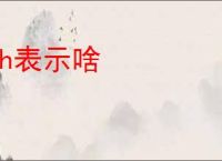 wh表示啥