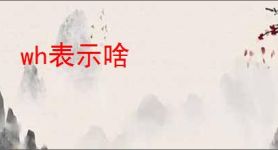 wh表示啥
