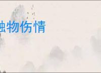 触物伤情