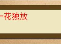 一花独放