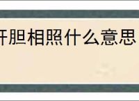 肝胆相照什么意思