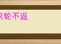 只轮不返