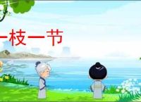 一枝一节
