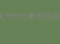 冰汽时代最后的家园怎么选法典,冰汽时代最后的家园法典选择攻略
