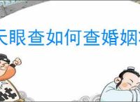 天眼查如何查婚姻状况