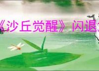 《沙丘觉醒》闪退解决办法