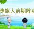 龙魂旅人前期阵容搭配,龙魂旅人前期过渡用什么阵容