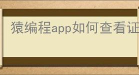 猿编程app如何查看证书