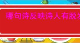 哪句诗反映诗人有脱发苦恼