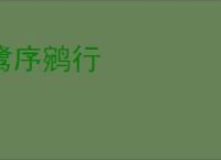 鹭序鹓行