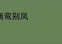 离鸾别凤