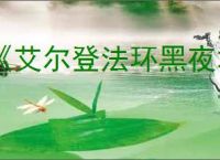 《艾尔登法环黑夜君临》快速升级办法
