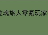 龙魂旅人零氪玩家钻石怎么用,龙魂旅人零氪钻石分配指南