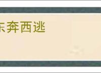 东奔西逃