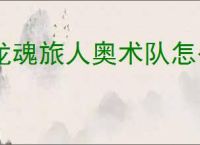 龙魂旅人奥术队怎么玩,龙魂旅人奥术队阵容推荐