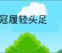 贵冠履轻头足