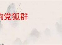 狗党狐群