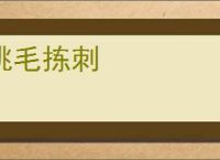 挑毛拣刺