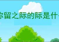 弥留之际的际是什么意思