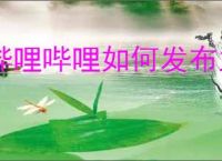 哔哩哔哩如何发布主播公告