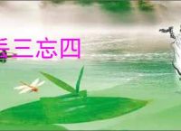 丢三忘四