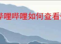 哔哩哔哩如何查看弹幕发布者