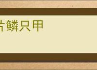 片鳞只甲