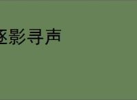 逐影寻声