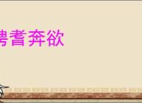 骋耆奔欲