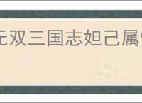 无双三国志妲己属性一览,无双三国志妲己有哪些技能