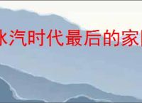 冰汽时代最后的家园零氪选什么产业,冰汽时代最后的家园零氪特色产业选择