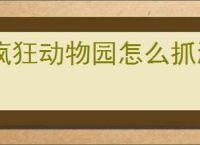 疯狂动物园怎么抓濒危动物