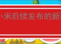 小米后续发布的新机都会搭载玄戒芯片吗