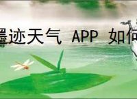 墨迹天气 APP 如何实现自动更新天气状况