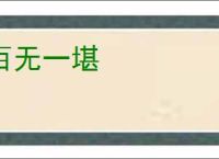 百无一堪