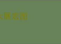 大展宏图