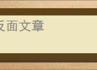 反面文章