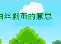 抽丝剥茧的意思