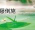 冠屦倒施