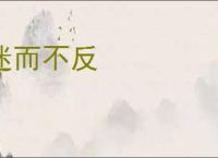 迷而不反