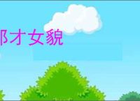 郎才女貌