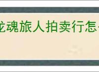龙魂旅人拍卖行怎么玩,龙魂旅人拍卖行抢什么资源