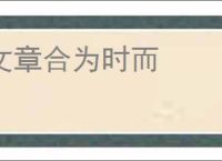 文章合为时而