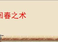 回春之术